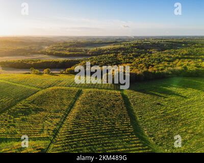 Aerial view Bordeaux Vineyard and forest at sunrise, film by drone in autumn, Entre deux mers Stock Photo