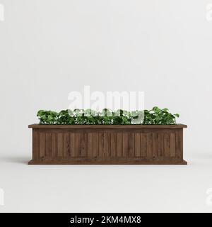 3d illustration of tree in wooden pot isolated on white background Stock Photo