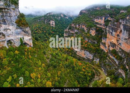 Aerial view of the leaves changing colours in the pyrenees mountains Stock Photo