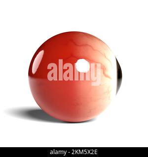 Side view of realistic human eyeball isolated on wihte background, 3D rendering Stock Photo