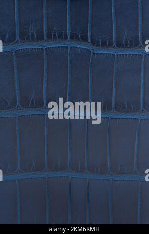 Blue alligator skin. crocodile leather texture background Stock Photo