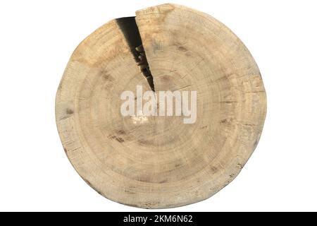 Annual rings on a saw cut of a tree trunk. saw marks. log isolated on white background Stock Photo