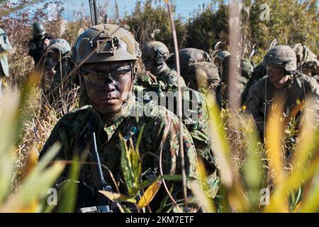 Shinto, Japan. 26th Nov, 2022. Member of Japan Ground Self-Defense Force's 1st Airborne Brigade take part in the United Kingdom and Japan joint military exercise 'Vigilant Isles' at Somagahara Maneuver Area in Gunma-Prefecture, Japan on Saturday, November 26, 2022. Photo by Keizo Mori/UPI Credit: UPI/Alamy Live News Stock Photo