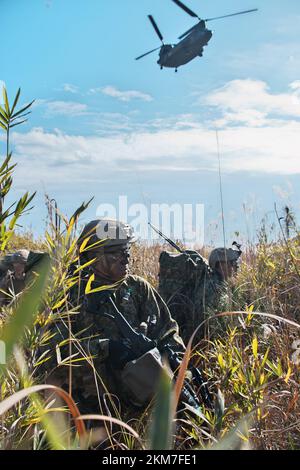 Shinto, Japan. 26th Nov, 2022. Member of Japan Ground Self-Defense Force's 1st Airborne Brigade take part in the United Kingdom and Japan joint military exercise 'Vigilant Isles' at Somagahara Maneuver Area in Gunma-Prefecture, Japan on Saturday, November 26, 2022. Photo by Keizo Mori/UPI Credit: UPI/Alamy Live News Stock Photo