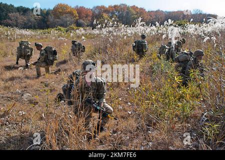 Shinto, Japan. 26th Nov, 2022. Soldiers of British Army 's 1st Royal Horse Artillery Regiment take part in the United Kingdom and Japan joint military exercise 'Vigilant Isles' at Somagahara Maneuver Area in Gunma-Prefecture, Japan on Saturday, November 26, 2022. Photo by Keizo Mori/UPI Credit: UPI/Alamy Live News Stock Photo