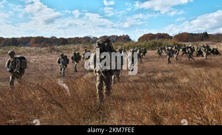 Shinto, Japan. 26th Nov, 2022. Soldiers of British Army 's 1st Royal Horse Artillery Regiment take part in the United Kingdom and Japan joint military exercise 'Vigilant Isles' at Somagahara Maneuver Area in Gunma-Prefecture, Japan on Saturday, November 26, 2022. Photo by Keizo Mori/UPI Credit: UPI/Alamy Live News Stock Photo