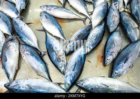Traditional fish market in Mutrah, Oman. Several types of fish for sale ...