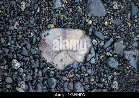 A close-up of a brightly colored rock among dark-colored rocks on an Antarctica beach. Stock Photo