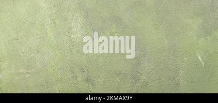 Abstract green background. Grunge texture painted surface. Earth green color stucco texture. Sustainable lifestyle Stock Photo