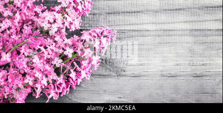 A branch of pink lilac close-up, on a gray wooden background. Postcard concept, background for spa salon. Banner. Copy space Stock Photo