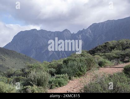 Mountain landscape at the Karoo Dessert National Botanical gardens in Worcester in South Africa Stock Photo