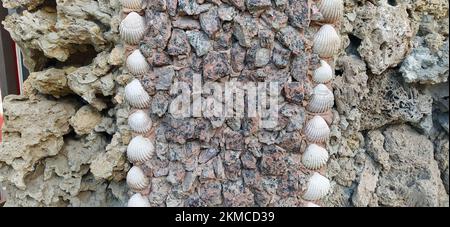 Pisan palace of the botanical garden covered entirely with shells in tuscany Stock Photo