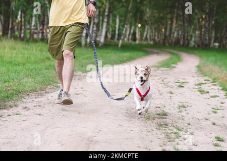 Man jogging with dog on waist leash along country dirt road Stock Photo