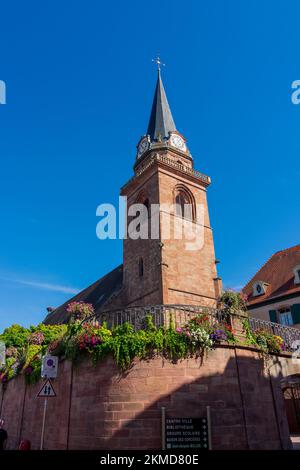 Bergheim: Church of the Assumption in Alsace (Elsass), Haut-Rhin (Oberelsass), France Stock Photo