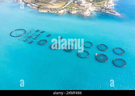 Floting Farm Aerial view of a floating fish farm with wooden structures and net ...