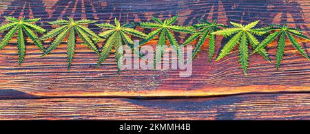 Medical cannabis on a wooden background. Hemp. A wonderful green leaf. Stock Photo