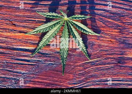 Medical cannabis on a wooden background. Hemp. A wonderful green leaf. Stock Photo