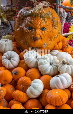 Painted pumpkin and orange and white little pumpkins, Retherfords Village at Halloween, Benton, Pennsylvania Stock Photo