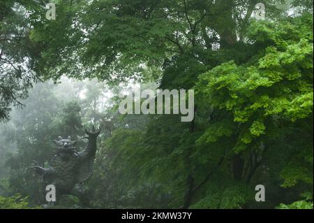 Atmospheric In The Mist In The Kagawa Mountains Negori ji Temple Is atmospheric-in-the-mist-in-the-kagawa-mountains-negori-ji-temple-is