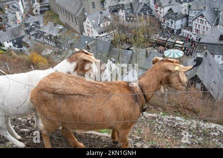 Monschau November 2022: The Monschau Christmas market traditionally opens on the first to fourth weekends in Advent, from November 25 to December 18, Stock Photo