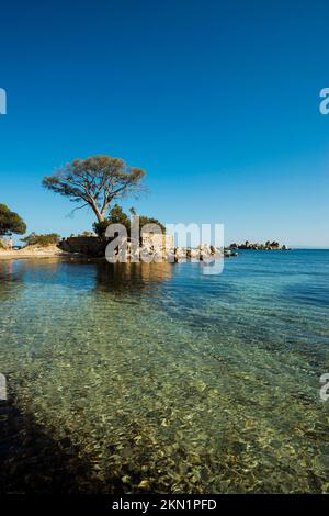 Beach and pines, Plage de Palombaggia, Porto Vecchio, Corse-du-Sud, Corsica, Mediterranean Sea, France, Europe Stock Photo