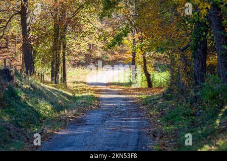 Empty country gravel road during peak autumn foliage color in Appalachia. Stock Photo