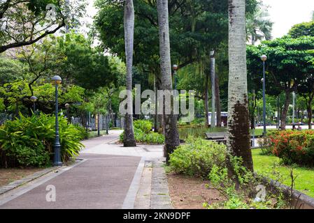 Salvador, Bahia, Brazil - October 29, 2022: Rua do Largo do Campo Grande surrounded by plants and trees. Salvador city. Stock Photo