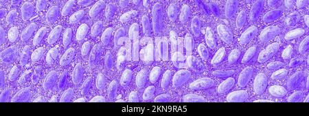 The surface of the stone wall background. web banner. natural Stones pattern Tiles Design for Floor, digital tile surface.Smooth round pebbles texture Stock Photo