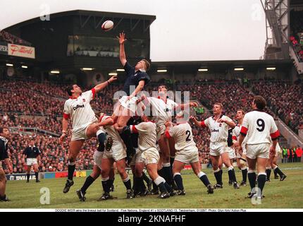 DODDIE WEIR wins the lineout ball for Scotland. Five Nations, England 41 v SCOTLAND 13, Twickenham, 970201. Photo: Glyn Kirk/ Action Plus.1997.rugby union.line out outs line-out line-outs lineout lineouts Stock Photo