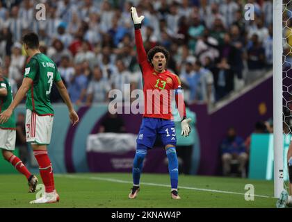 Lusail Iconic Stadium, Lusail, Qatar. 26th Nov, 2022. FIFA World Cup Football, Argentina versus Mexico; Goalkeeper Guillermo Ochoa of Mexico calls for an offside decision Credit: Action Plus Sports/Alamy Live News Stock Photo