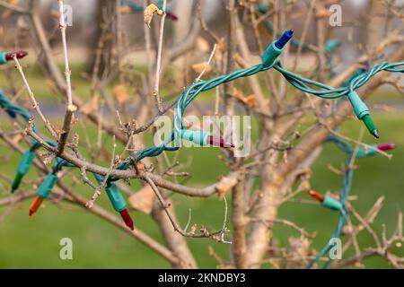 Christmas string lights hanging on tree outdoors. Xmas holiday decoration safety and outdoor lighting concept. Stock Photo