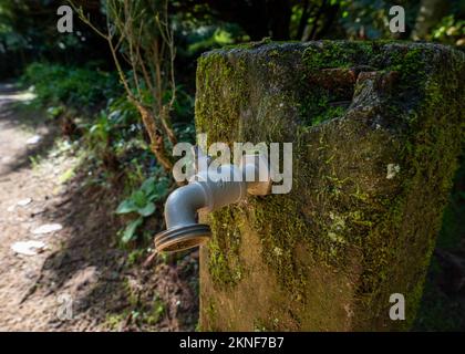 Old Water Spigot Stock Photo