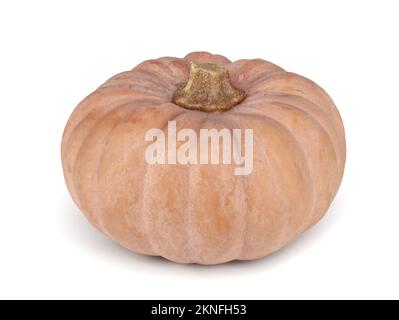 Nutmeg pumpkin front view, squash isolated on white background Stock Photo