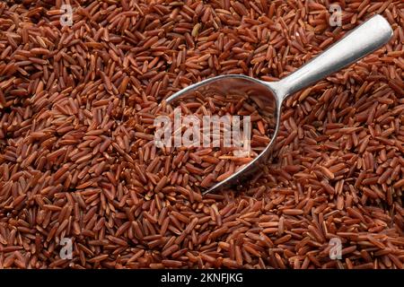 Organic red rice full frame and a metal scoop close up full frame as background Stock Photo