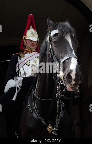 Mounted Household Cavalry Soldier Of The Blues And Royals On Horse Back In Mounted Review Order On Sentry Duty, Whitehall London UK Stock Photo