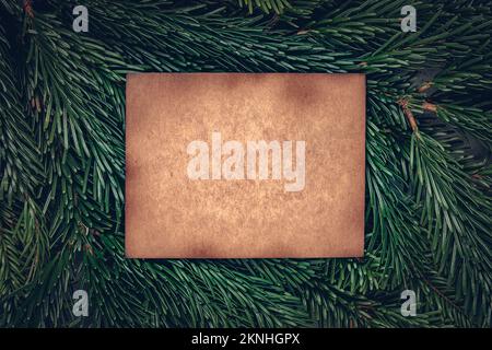 Aged kraft paper texture copy space on Christmas tree branches texture background Stock Photo