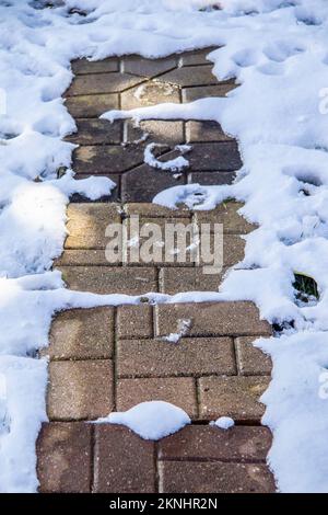 Paving stone fake brick sidewalk in the melting snow - vertical - looking down Stock Photo