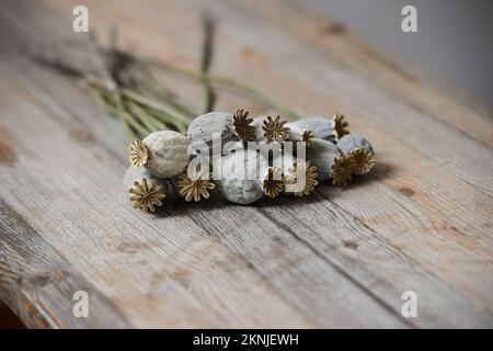 dried poppy seed heads on wooden table Stock Photo