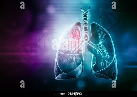 Human lungs with trachea and bronchi 3D rendering illustration with copy space. Anatomy, medical and healthcare, biology, medicine, science concepts. Stock Photo