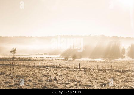 Stunning prairie and distant mountain landscape with cold morning mist airing through translucent rays of sunlight. St Marys, Tasmania, Australia Stock Photo