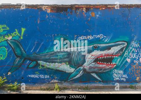 Ljubljana, Slovenia, September 2020: Graffiti shark with painted lips Stock Photo