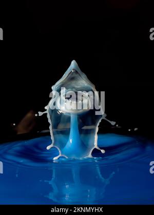 drops of milk colliding formed figures with a black background and white drops on blue liquid photography of water backgrounds Stock Photo
