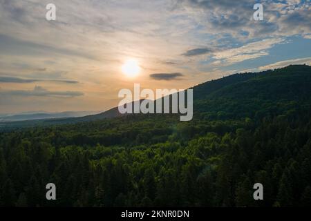 Premium Photo  Aerial view of green pine forest with dark spruce trees  covering mountain hills at sunset nothern woodland scenery from above