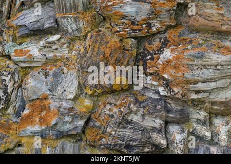 Petrified old wood rock has been made into stone wall structure with living moss lichen matter. Here is a closeup showing rough texture rock cemented. Stock Photo