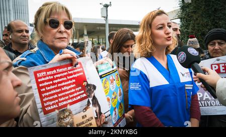 Animal lovers and activists who came together with the call of the Animal Rights Federation in Izmir, protested the animal massacres in Turkey. Video footage that contains graphic image of an officer worker in an animal shelter belonging to Konya Metropolitan Municipality, torturing and killing a dog in the shelter, appeared on social media on November 24 and caused reactions all over Turkey. An investigation was launched after the footage that caused indignation. Two people were detained and arrested as a result of the investigation. (Photo by Idil Toffolo/Pacific Press) Stock Photo