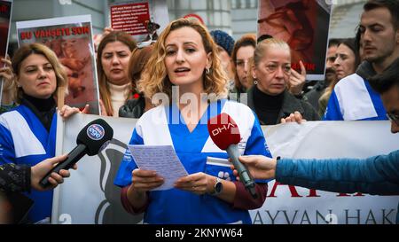 Izmir, Turkey, Turkey. 27th Nov, 2022. Animal lovers and activists who came together with the call of the Animal Rights Federation in Izmir, protested the animal massacres in Turkey. Video footage that contains graphic image of an officer worker in an animal shelter belonging to Konya Metropolitan Municipality, torturing and killing a dog in the shelter, appeared on social media on November 24 and caused reactions all over Turkey. An investigation was launched after the footage that caused indignation. Two people were detained and arrested as a result of the investigation. (Credit Image: © Stock Photo
