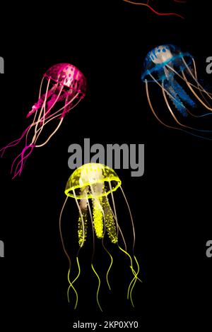 Colorful fine art on a school of jellyfish glowing in tropical black scene. Exotic aquarium Stock Photo