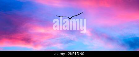 A Single Bird Silhouette Flying Towards The Colorful Cloudscape Sunset In Banner Image Format Stock Photo