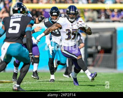 Baltimore Ravens running back Gus Edwards works out during the team's NFL  football training camp, Thursday, July 27, 2023, in Owings Mills, Md. (AP  Photo/Julio Cortez Stock Photo - Alamy