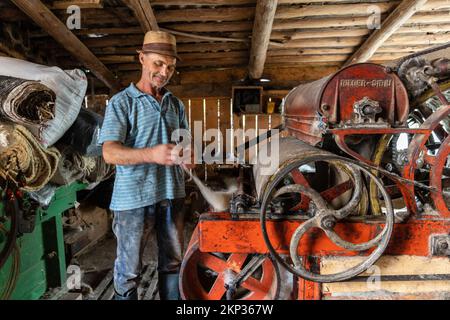 Wool pounding in Sârbi village, Maramures, Romania Stock Photo